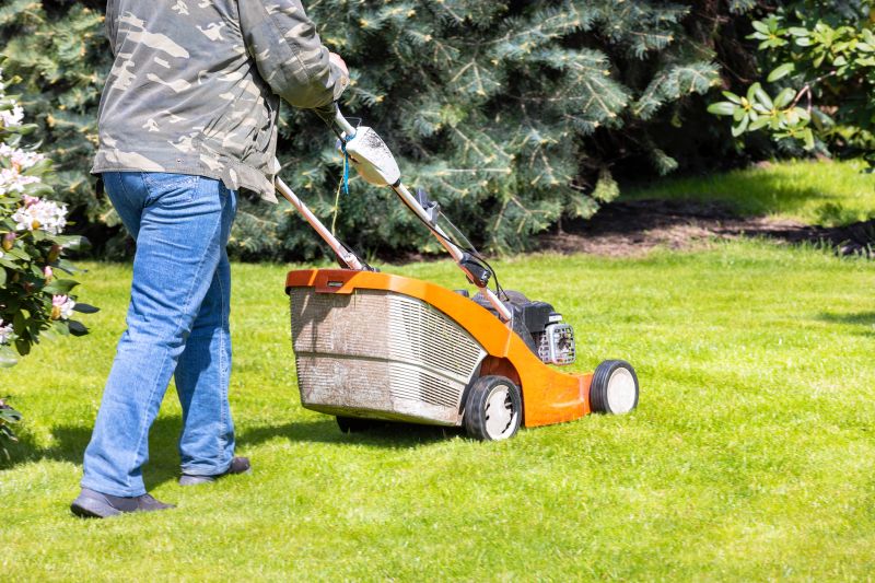 Commercial Lawn Mowing