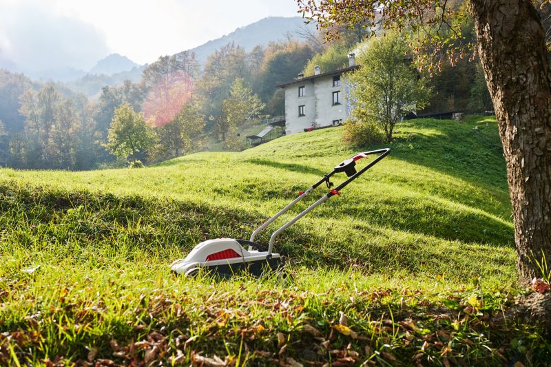 Commercial Lawn Mowing